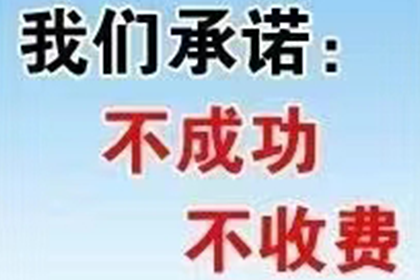 丰满追款公司
